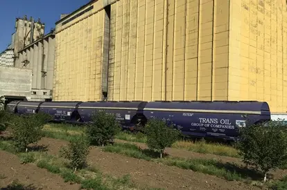 Transoil Group of Companies announces the purchase of 100 railway wagons for grain transportation
